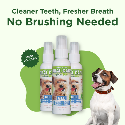 Oral Care Gel - Salmon