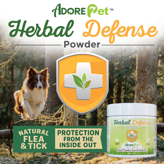Herbal Defense Powder
