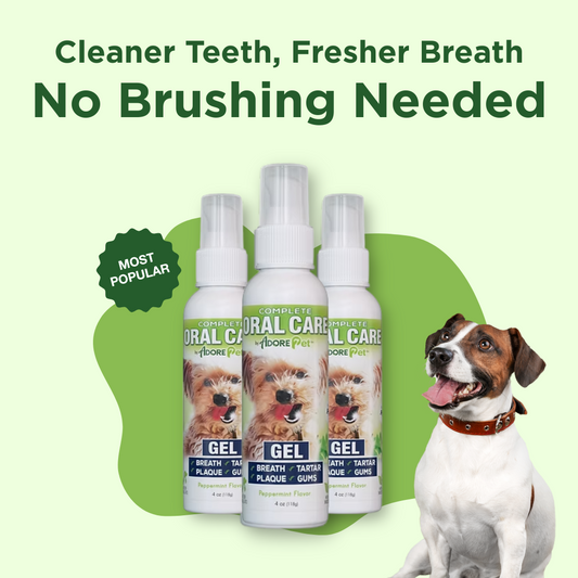 Oral Care Gel - Peppermint