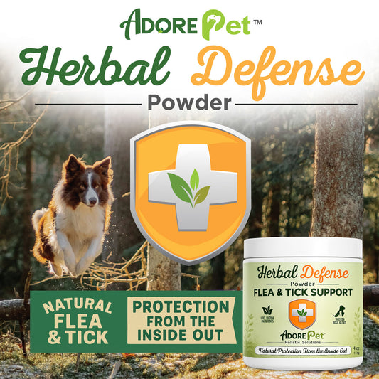 Herbal Defense Powder